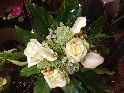 Fleurs Carilys